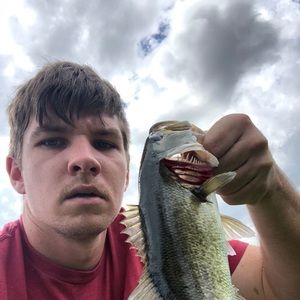 Meet your Posher, Parker